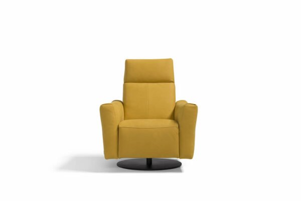 Blues Armchair - Image 3