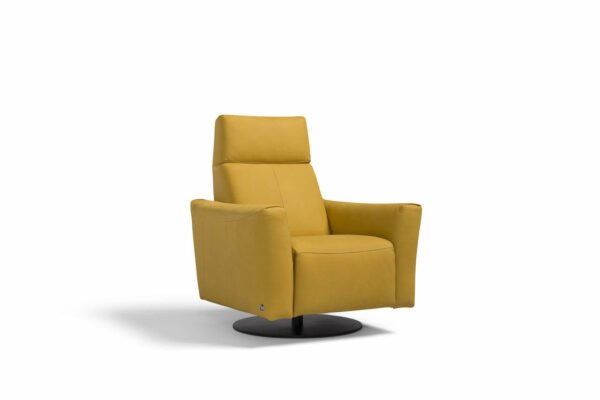 Blues Armchair - Image 4