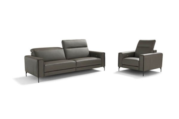 gary is a grey leather sofa with a front foot, here there's also an armchair version of gary